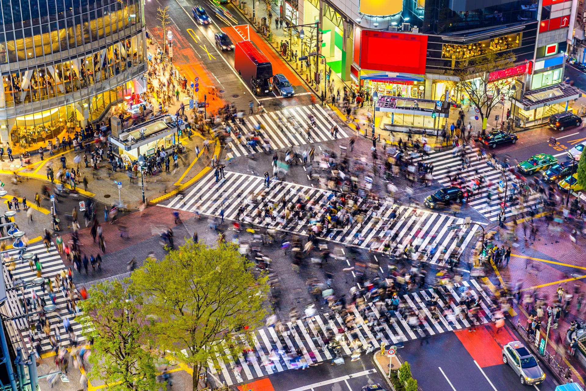 Japan, culturele diversiteit