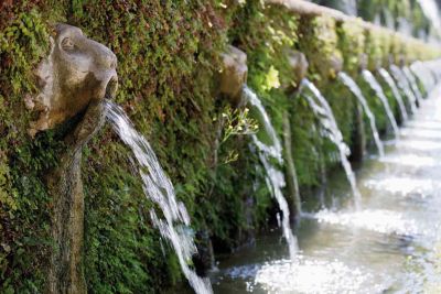 Hoogtepunten van Rome i.s.m. Vrije Academie