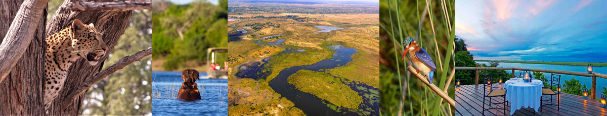 Exclusieve groepsreis De Okavango-delta