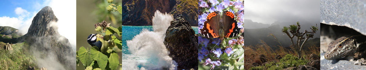 Exclusieve groepsreis De natuur van La Gomera en Tenerife