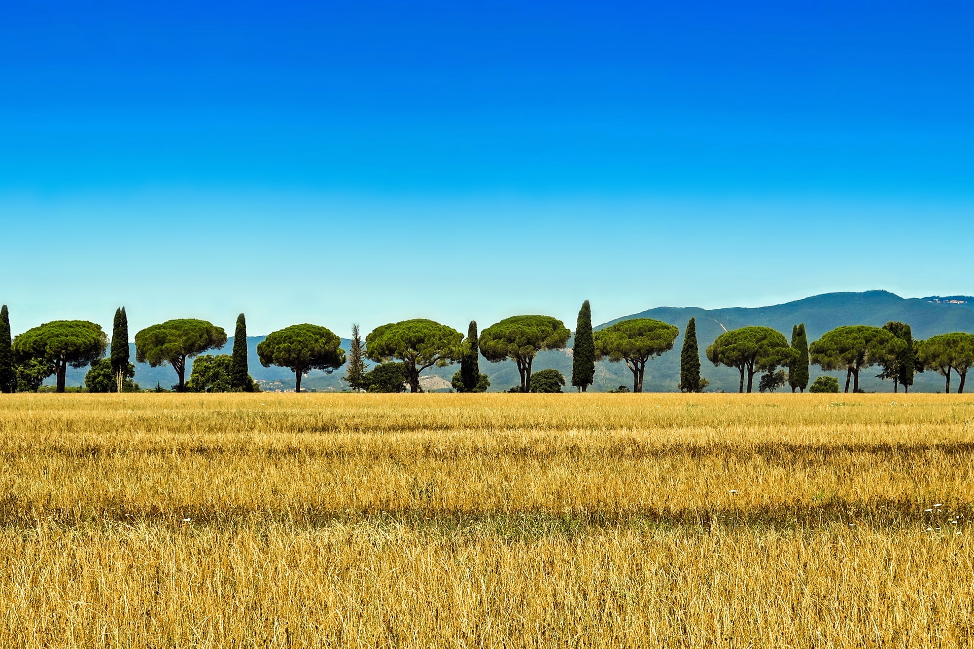 Toscane