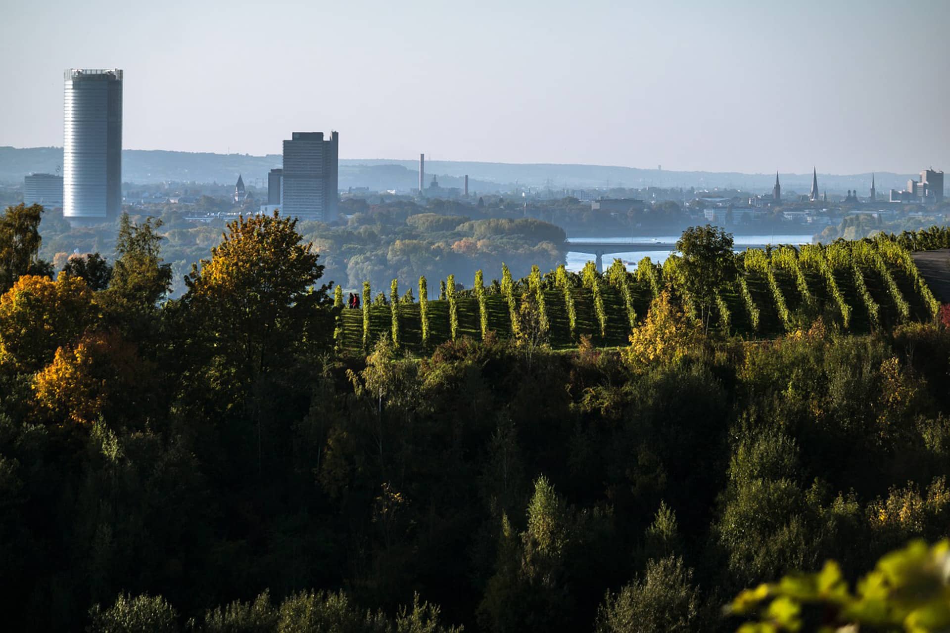 Rijntour