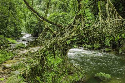 Fluisteringen van Noordoost-India: Meghalaya en Assam