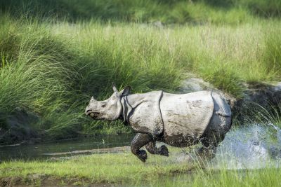 Fluisteringen van Noordoost-India: Meghalaya en Assam