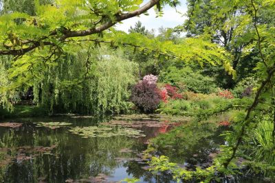 De weg van Monet i.s.m. Vrije Academie