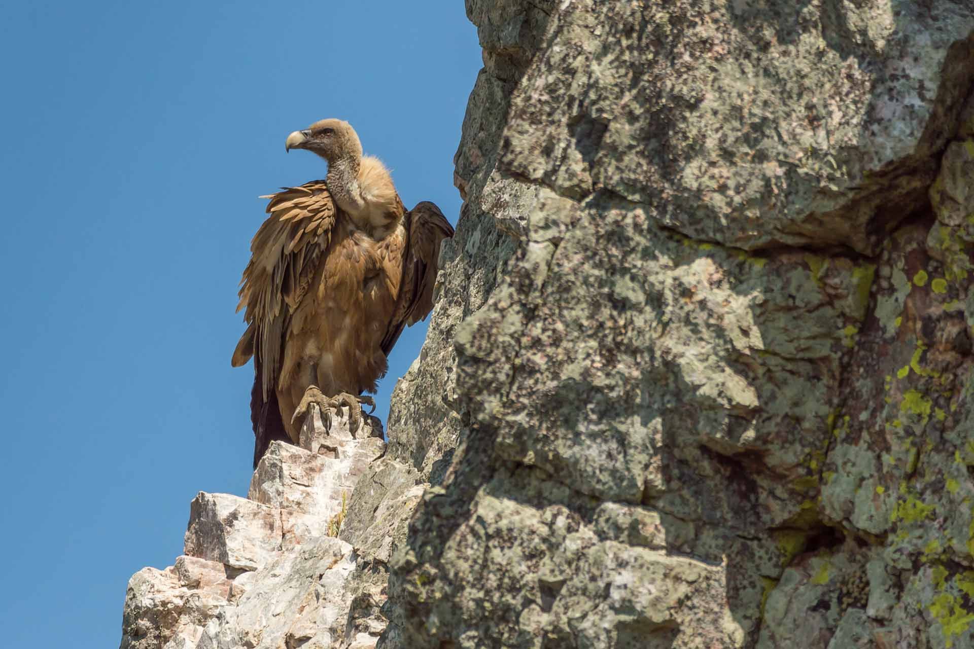 Natuurreis Extremadura