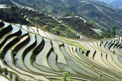 Zuidwest-China. Stammen en tradities