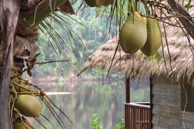 Suriname