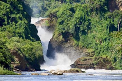 Oeganda en Rwanda, in het spoor van de primaten