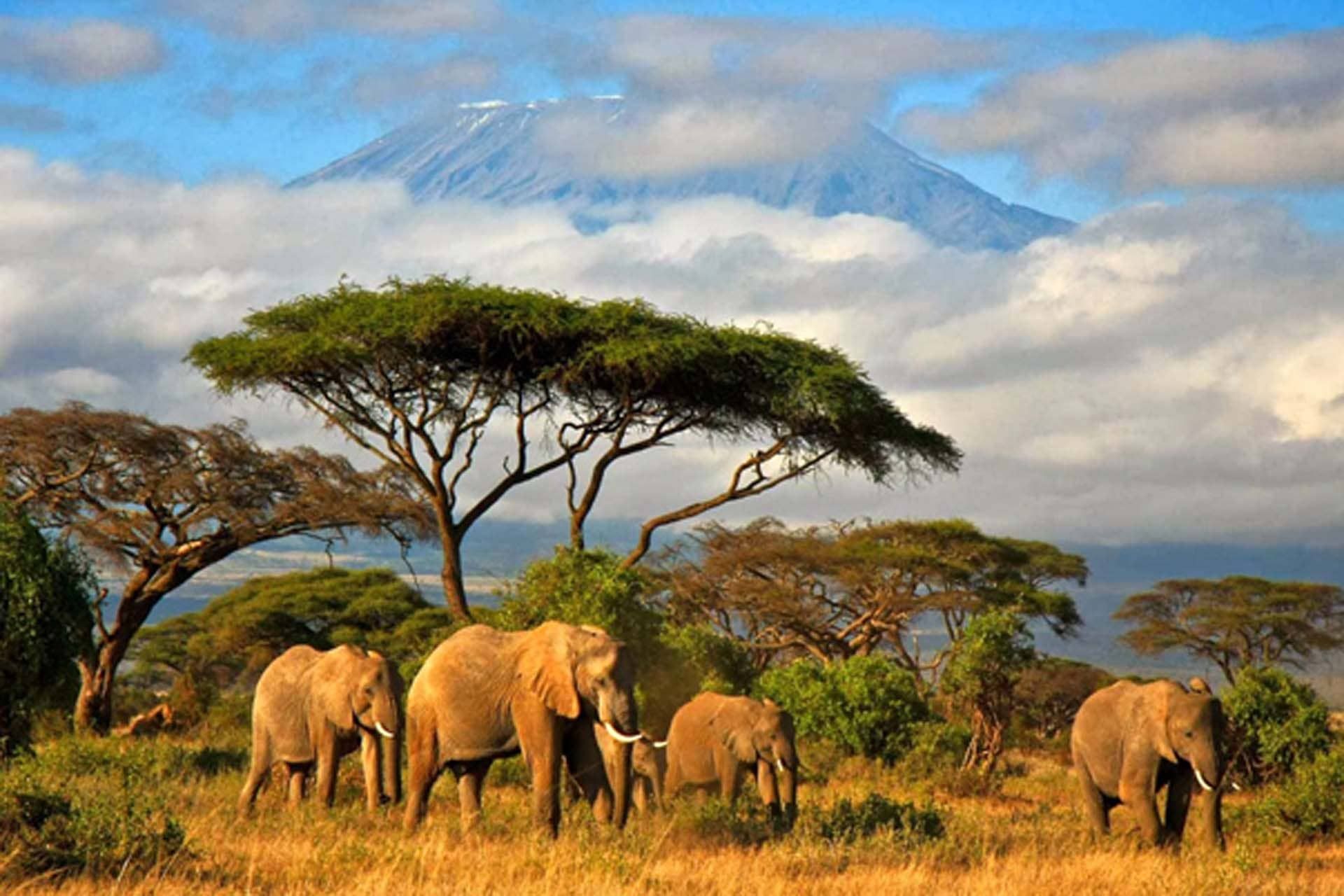 Tanzania • Safari door de oertijd