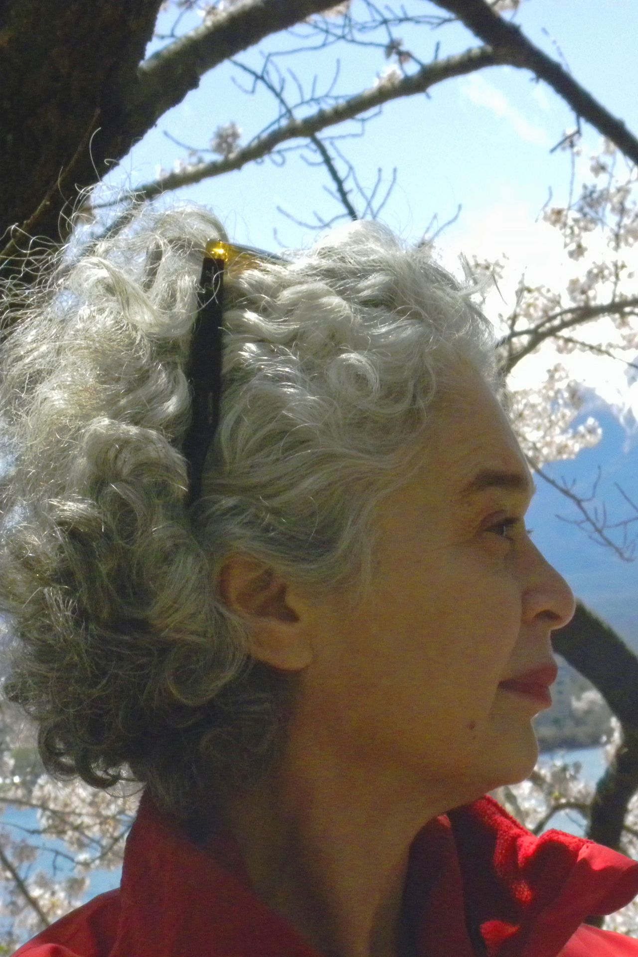 dr. Judith Stalpers
