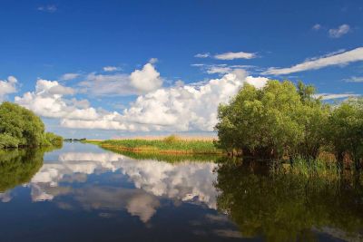 De Donaudelta. Verkenning van een waterrijk vogelparadijs
