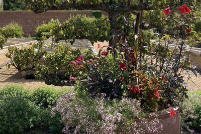 Landhuizen en verborgen tuinen in Engeland