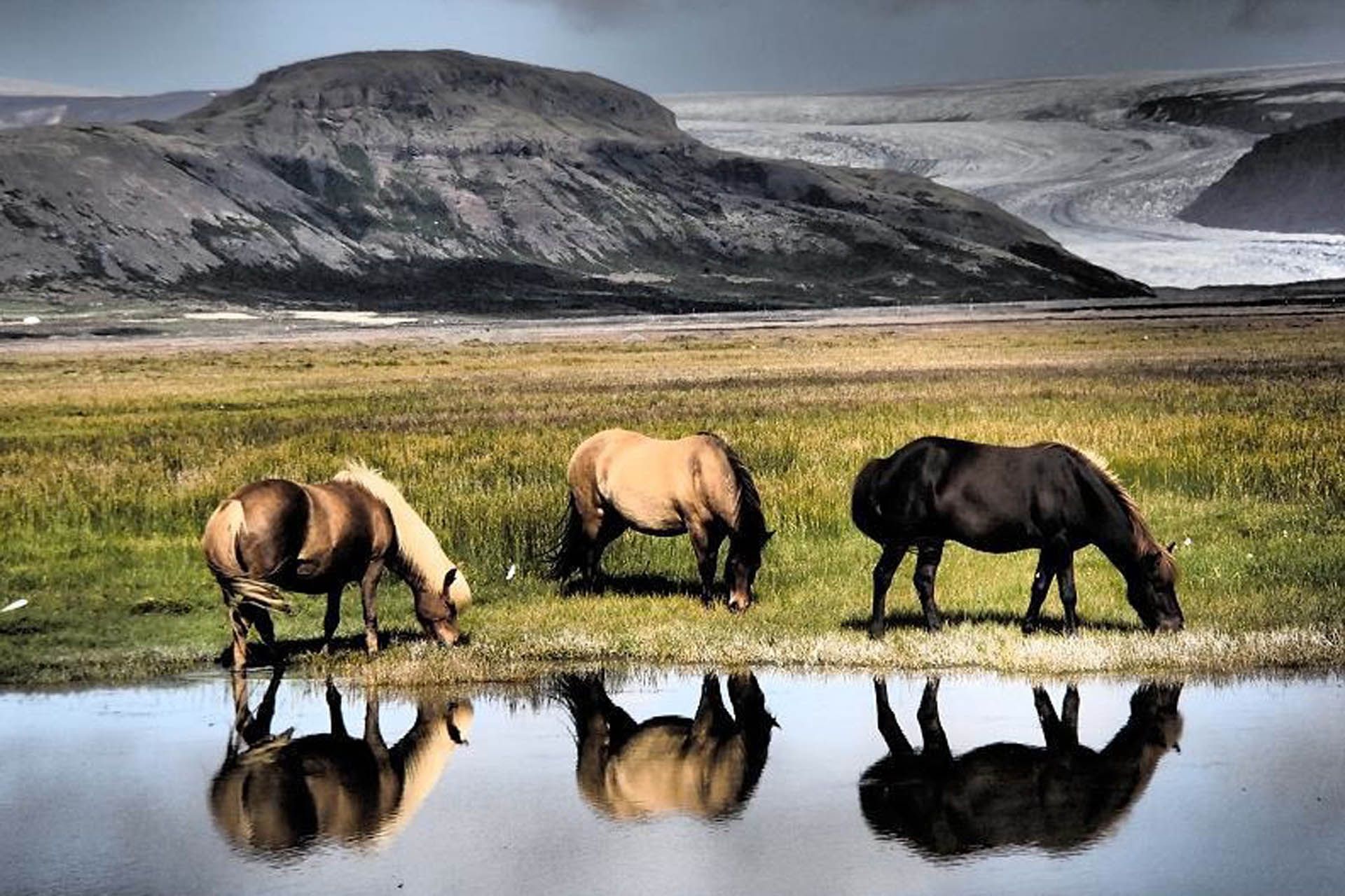 IJsland, het schiereiland Westfjorden